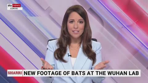 WORLD EXCLUSIVE: Footage proves bats were kept in Wuhan lab