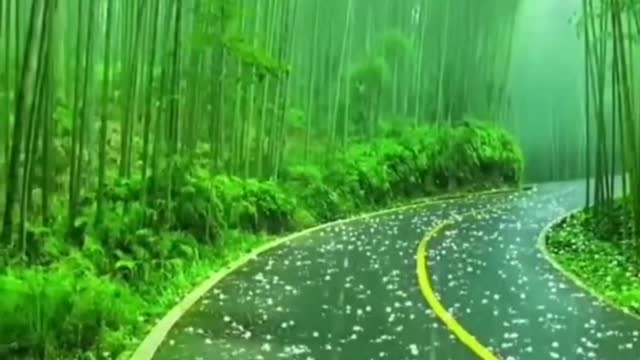 BEAUTIFUL SNOWFALL..... GIFT OF NATURE