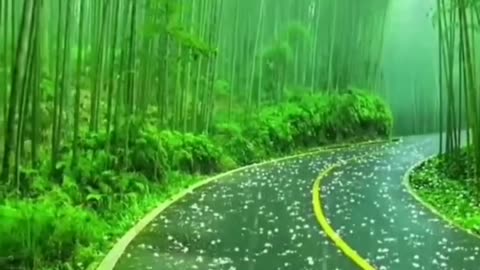 BEAUTIFUL SNOWFALL..... GIFT OF NATURE