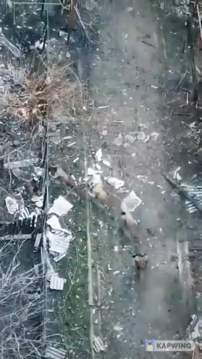 "Wagner Group" took Popasnaya in the LPR captured Ukrainian eight soldiers