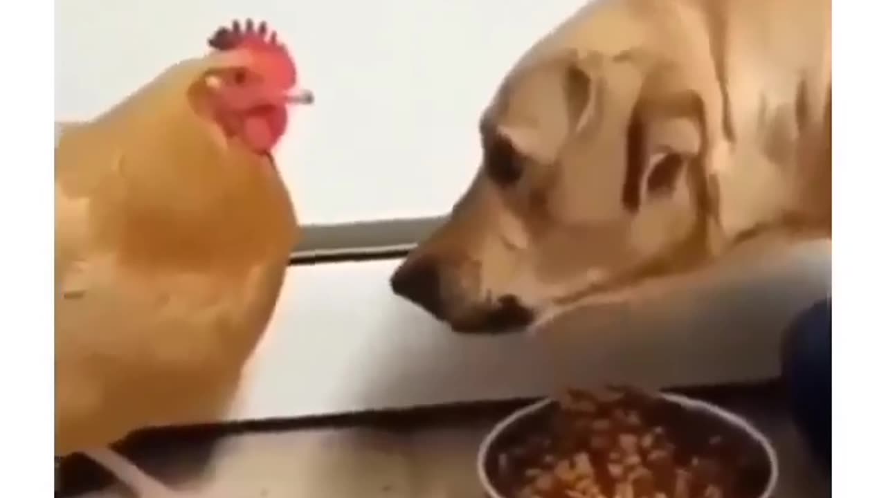 would you let him take your food