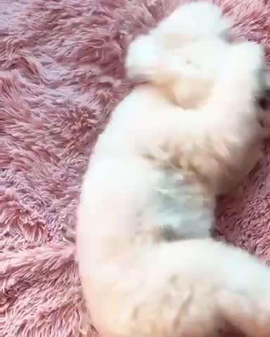 Is it morning already?