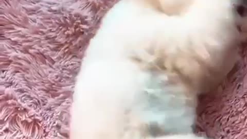 Is it morning already?