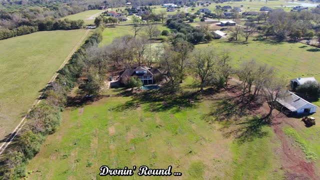 Old Pecan Plantation, Nov 16, 2020