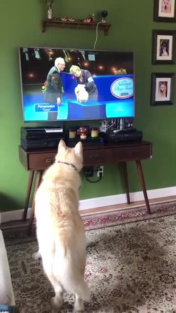 Their jimmies are rightfully russled