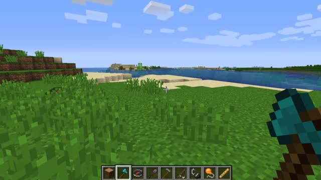 Minecraft vanilla skin version 1.17.1_Shorts_1