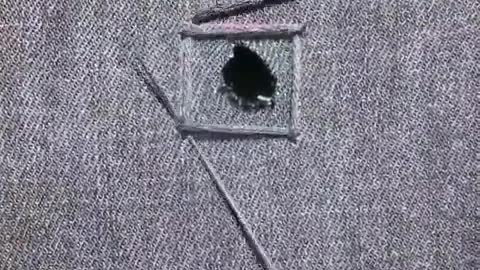 How to fix holes in clothing