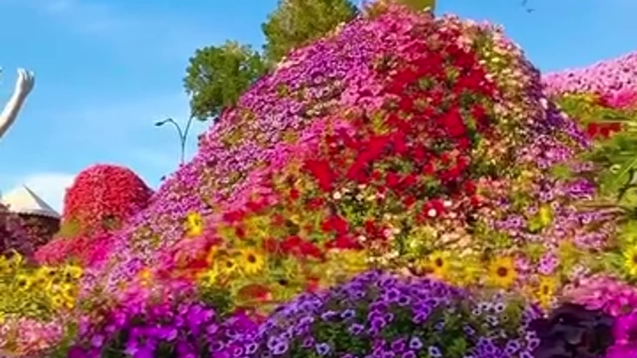 Miracle garden