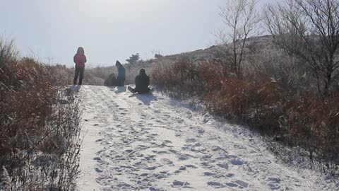 Snow sledding in the mountains