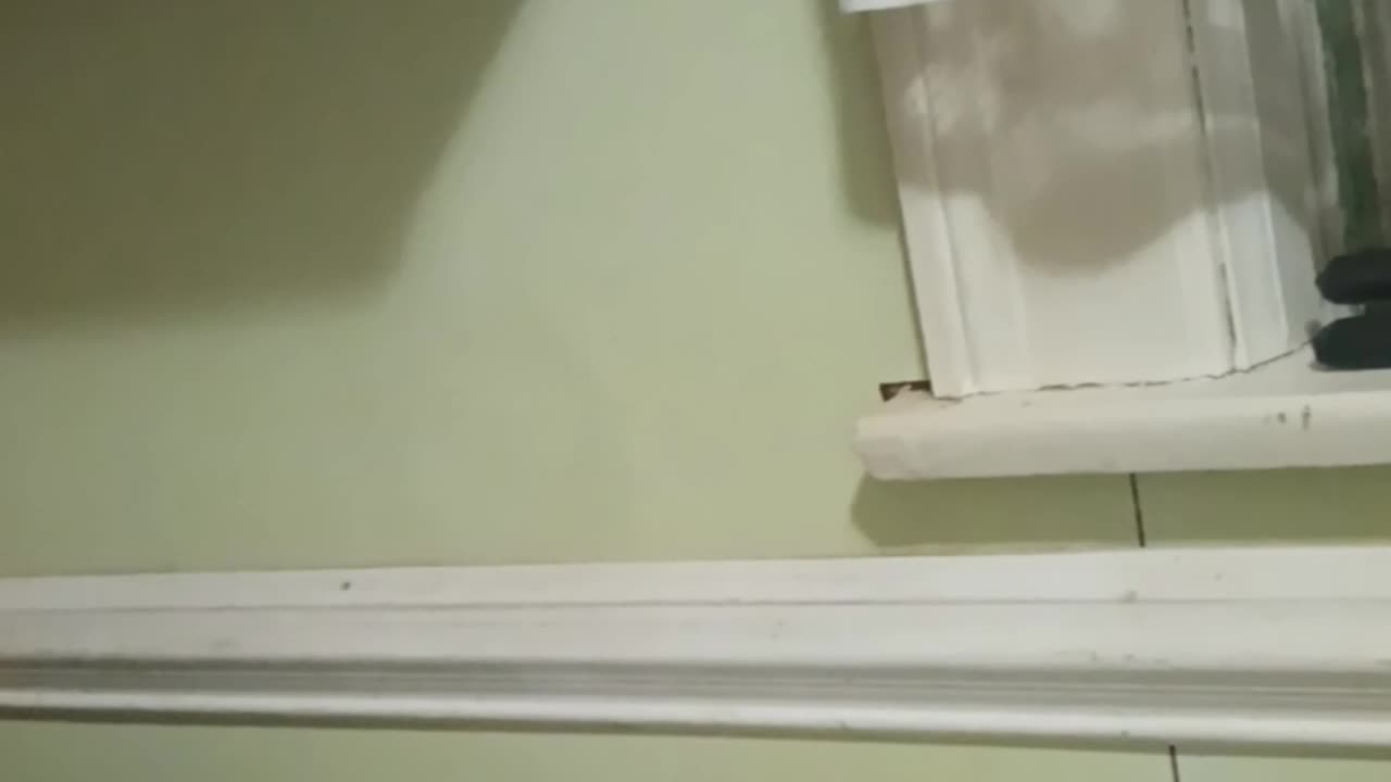 Pt 2 Free Wiil What God Wants For Each Of His Children