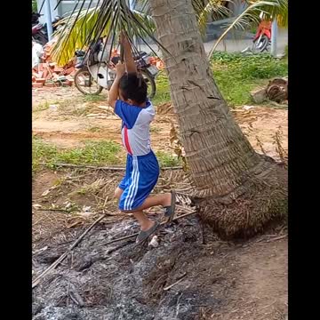 Children playing on swings with coconut trees