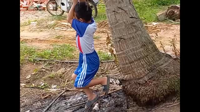 Children playing on swings with coconut trees