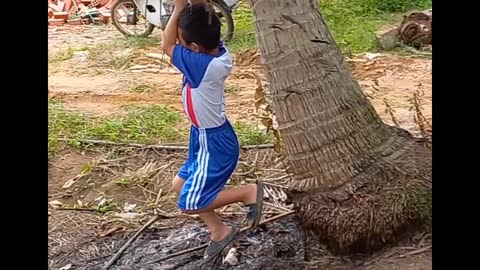 Children playing on swings with coconut trees