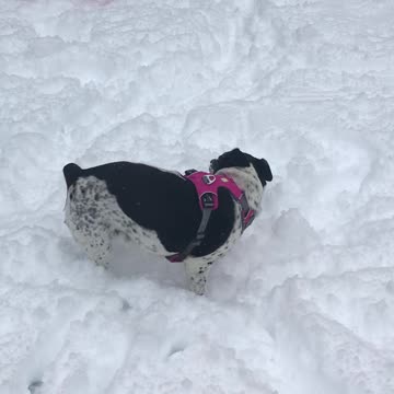 MK and Ash in the snow