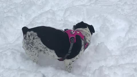 MK and Ash in the snow