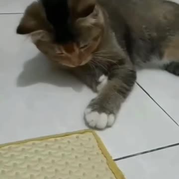 Quick study 😱😱😱😱😱