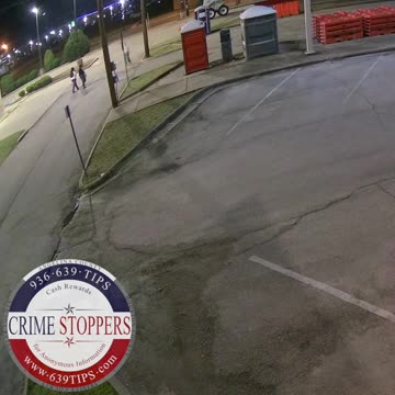 Grinches Who Stole Christmas Lights