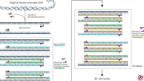 PCR Test - The "Gold Standard" for Diagnosis???