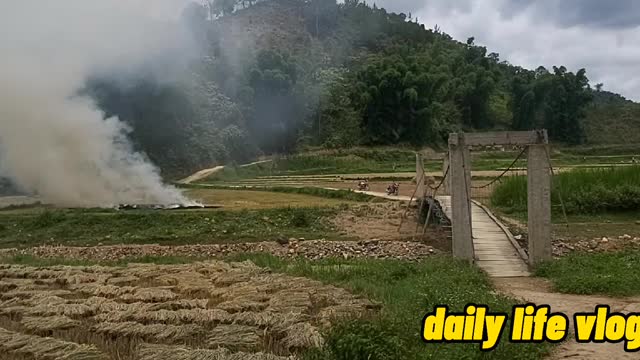 lustful fields are burned for the new crop | daily life vlog