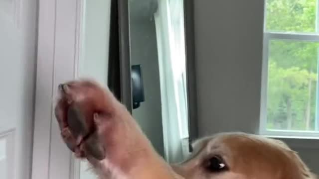 No privacy around here