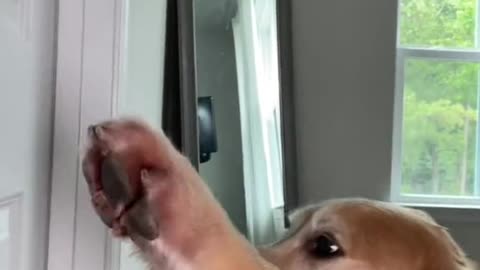 No privacy around here