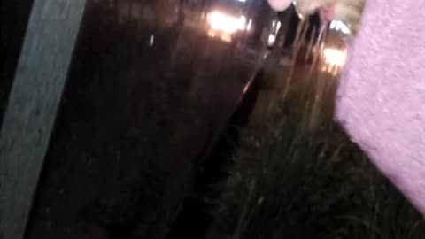 Guy purple shirt leaning against wall throwing up