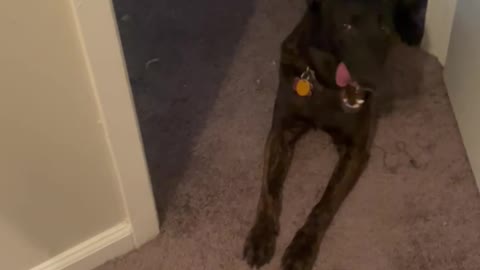 She like walking 😂