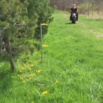 My dad and he’s new toy