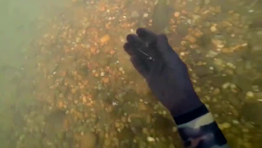 Clean up the underwater garbage and protect the marine natural environment.#17