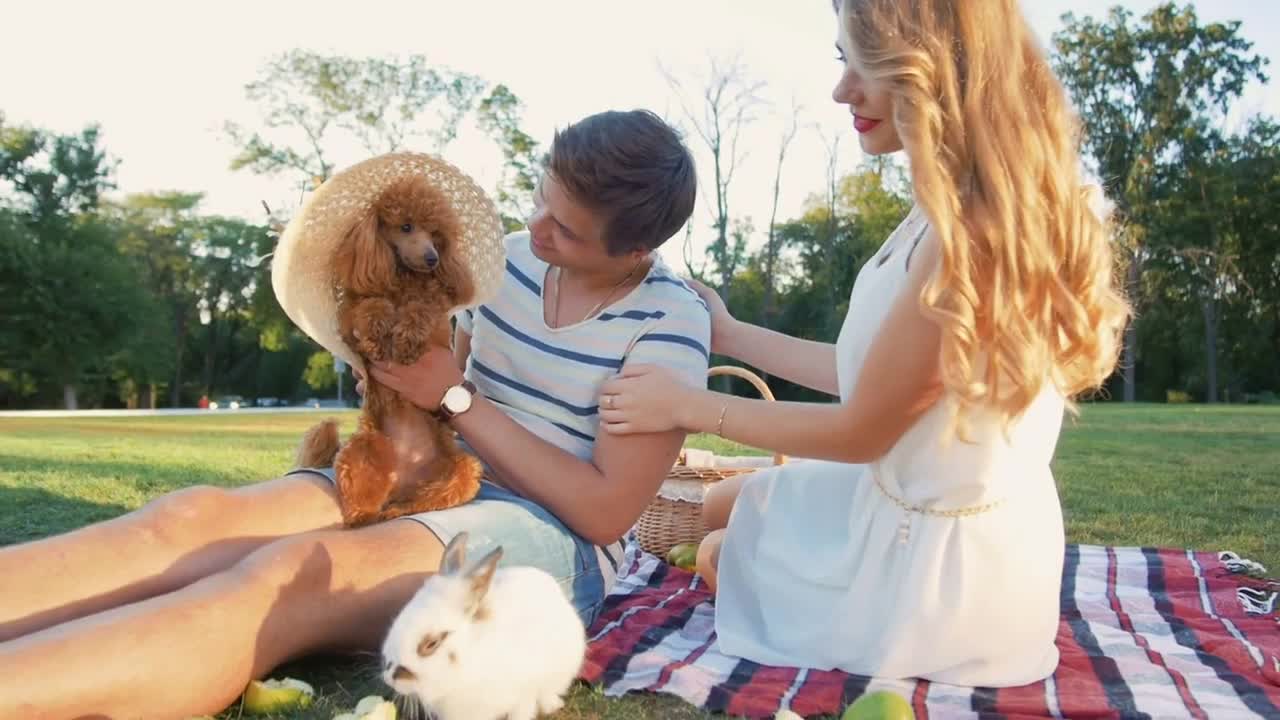 Happy young couple on picnic resting playing with dog and rabbit