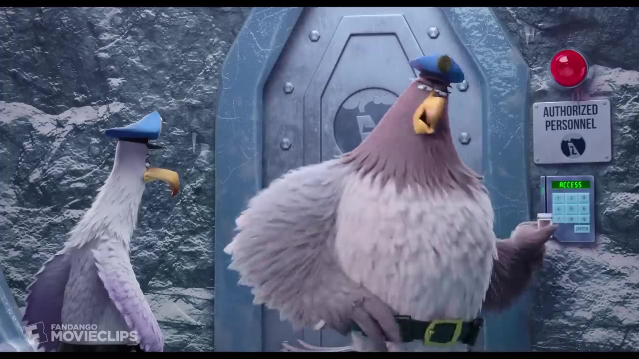 Angry birds comedy scenes