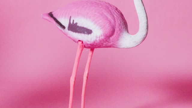 a-plastic-flamingo-bird-stumbles-from-the-wind