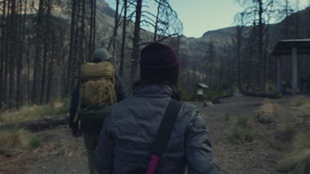 Couple walking in the forest