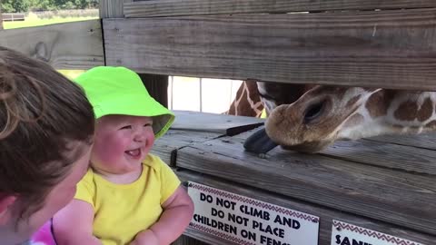 TRY NOT TO LAUGH - Funny Baby With Animal