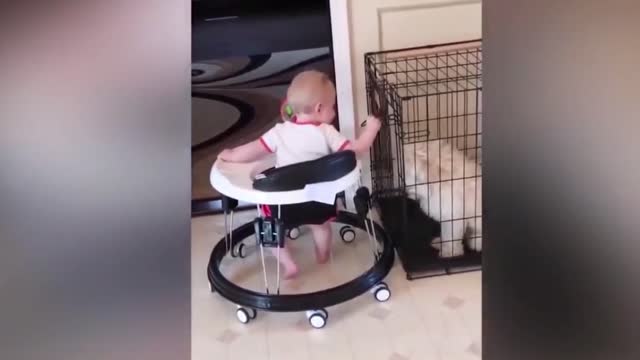 Dogs are the best friend of Babies 35