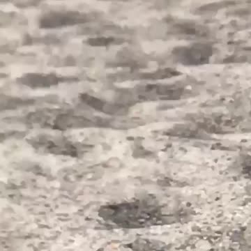 Guy walks on the beach in the sand with white socks on