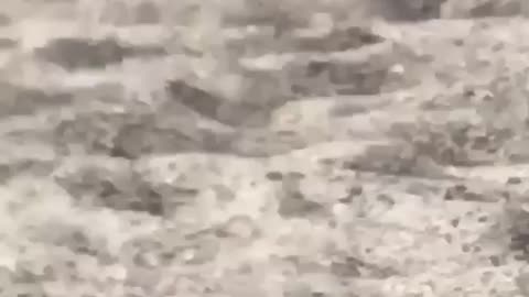 Guy walks on the beach in the sand with white socks on