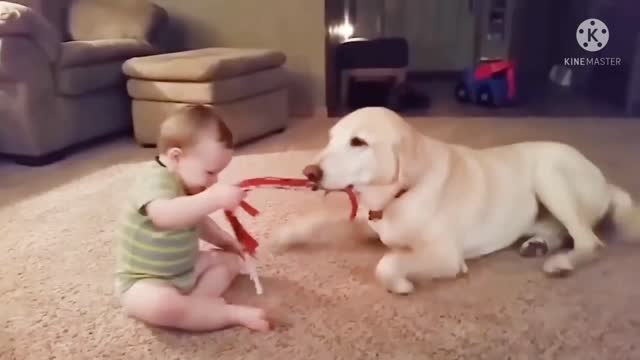 Baby fanny and dog video