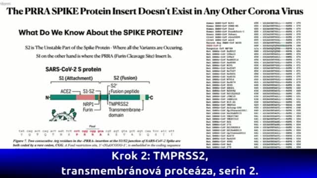 Dr. Richard M Fleming PhD, 證實了刺突蛋白中存在(艾滋病毒。) HIV ㈠型 及狀蛋白可以通過血腦屏障導致(各種神經系統問題) 包括(狂牛症) -1000 多種神經相關病變(1-2年間)