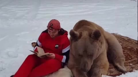 Bear Enjoys a Good Book