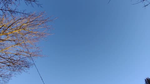 2024-03-18: Constellations & Aircraft: purple haze - aircraft at dusk