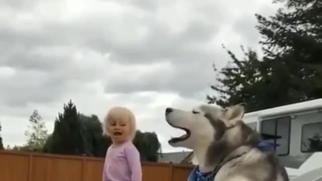 Funny moment with child and dog😂😂