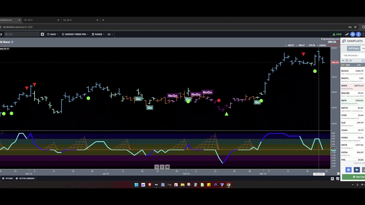 2024.03.22 TMT Report: Gold and Silver