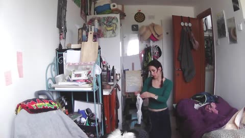 Randy Simps for Islamic Jihadis, Jew h34rs h345te woman,