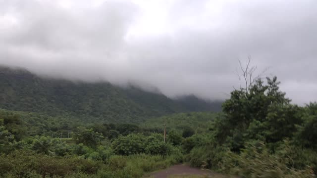Beautiful nature with mountains covered with trees