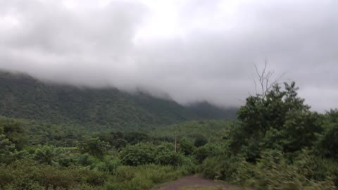 Beautiful nature with mountains covered with trees