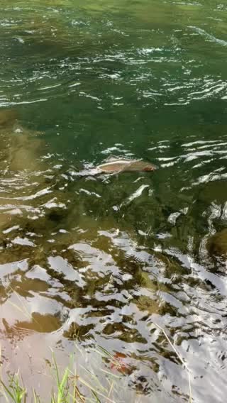 Jiggabead beachfront