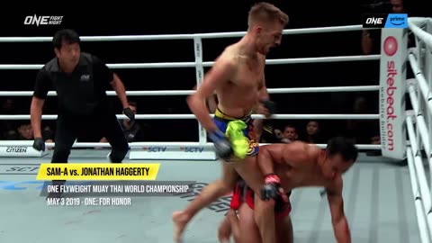 Haggerty Origins DESTROYS Muay Thai Icons