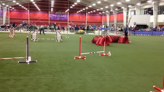 Tanner - Master JWW - Q for 20th QQ