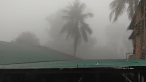 Winter season beauty in village of Bangladesh
